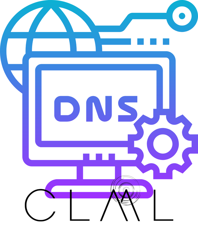 Gestor DNS